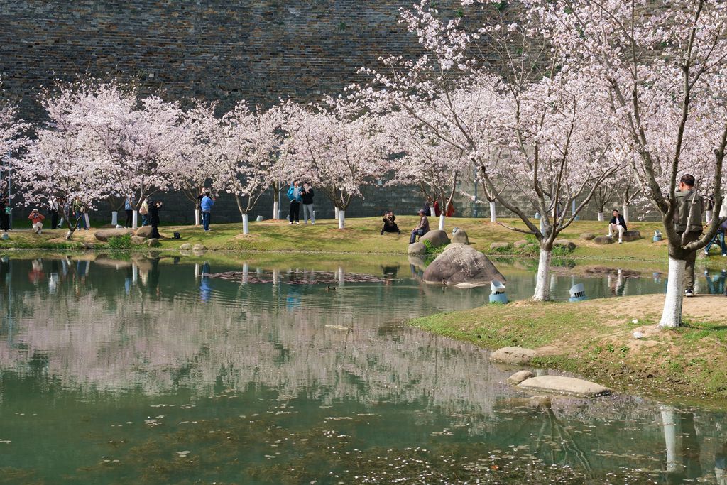 玄武湖公园一游