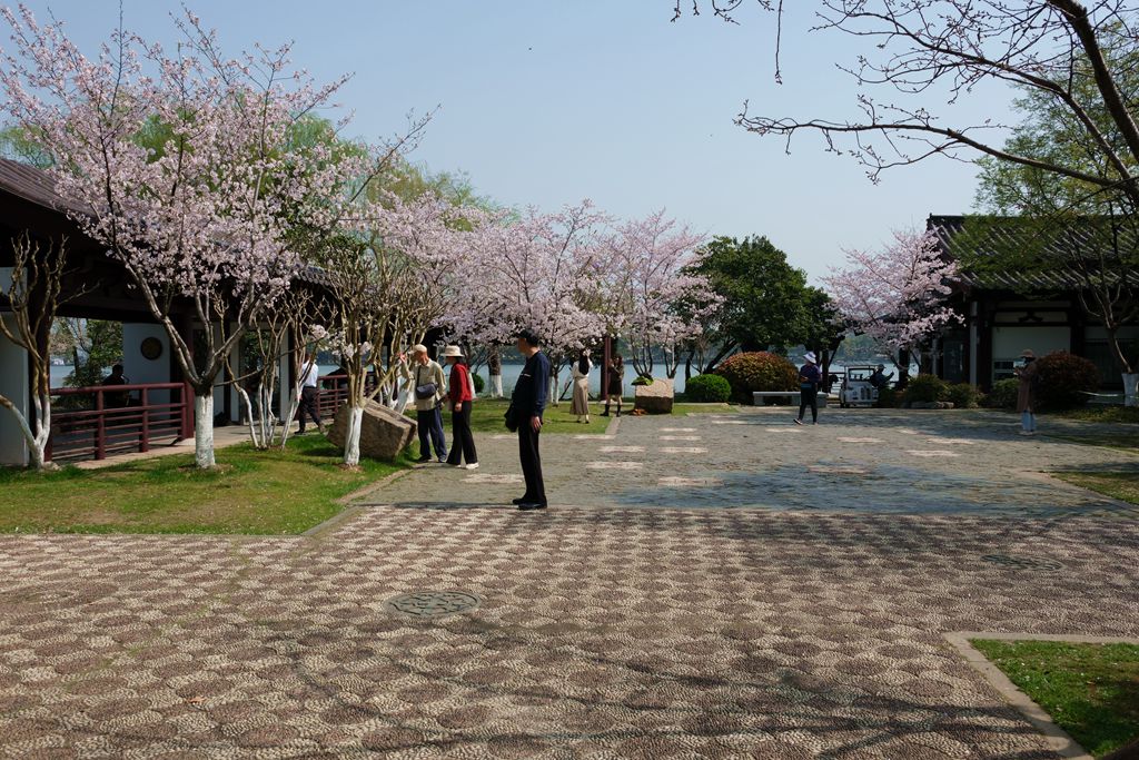 玄武湖公园一游