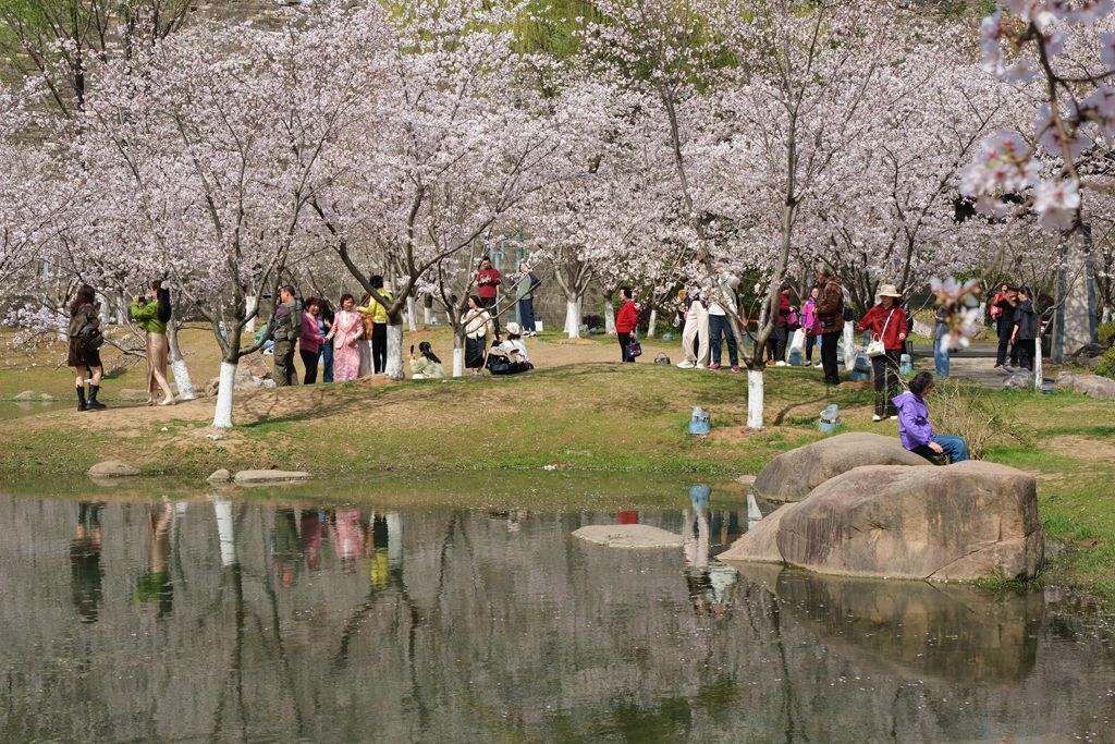 玄武湖公园一游