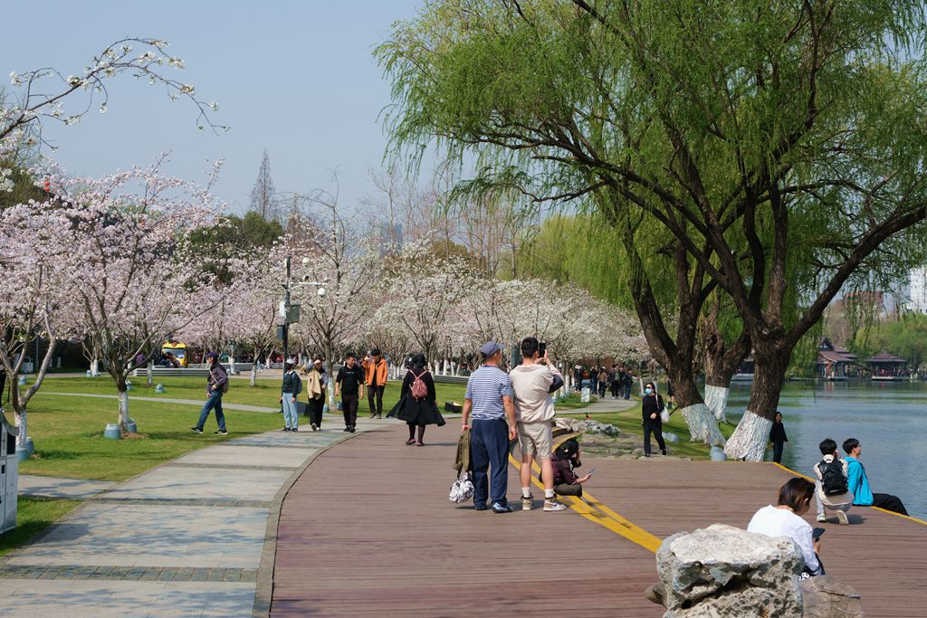 玄武湖公园一游