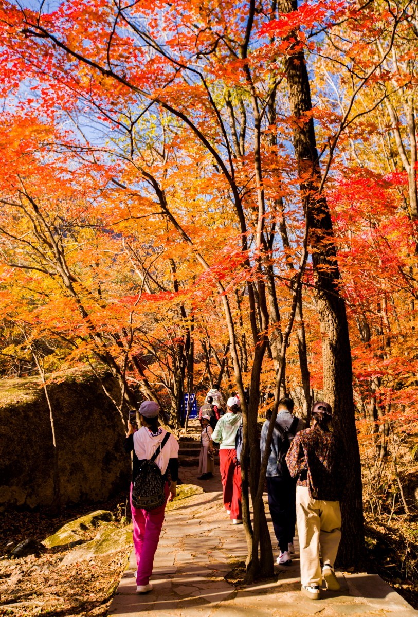 外出随拍（续288）.