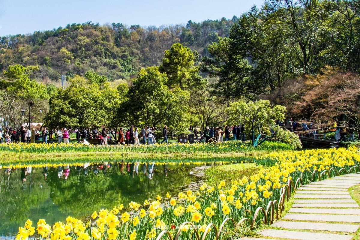 太子湾盛开的郁金香