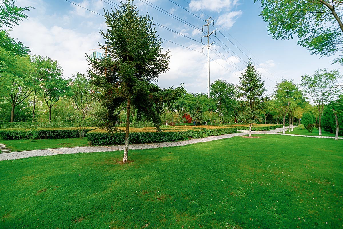 随                                        拍