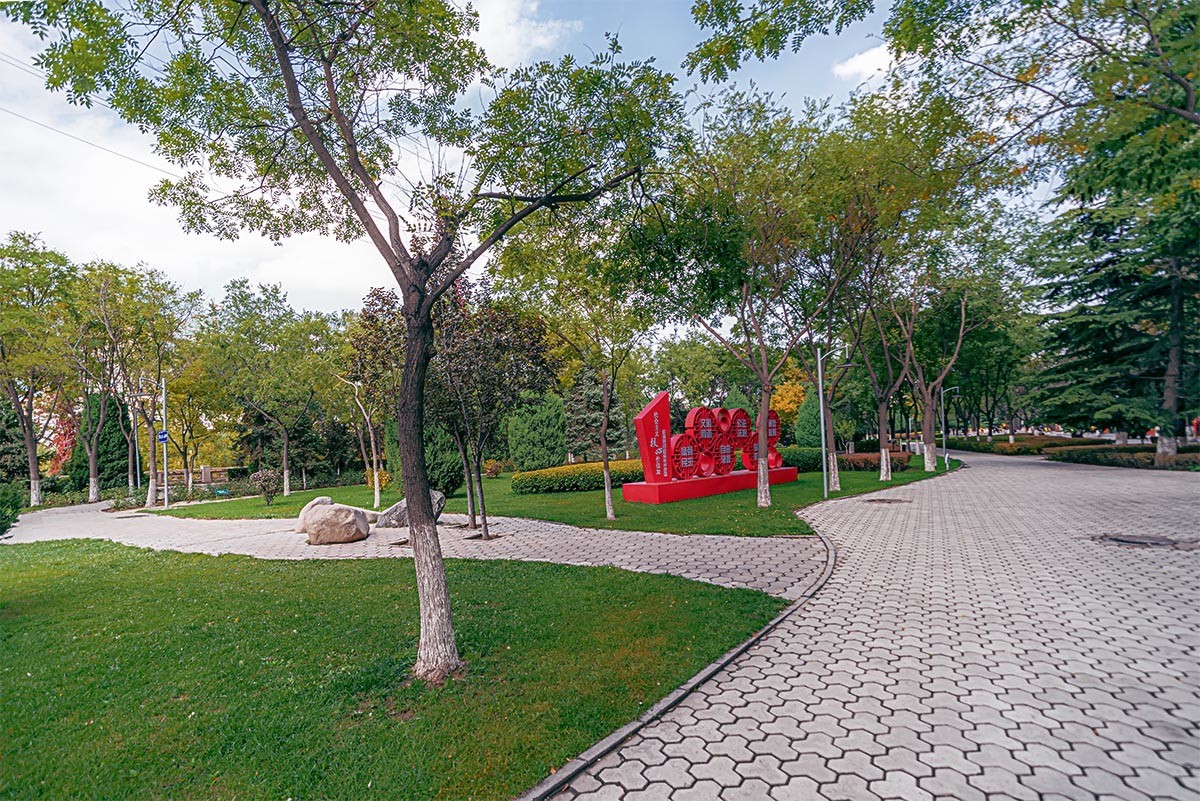 随                                        拍