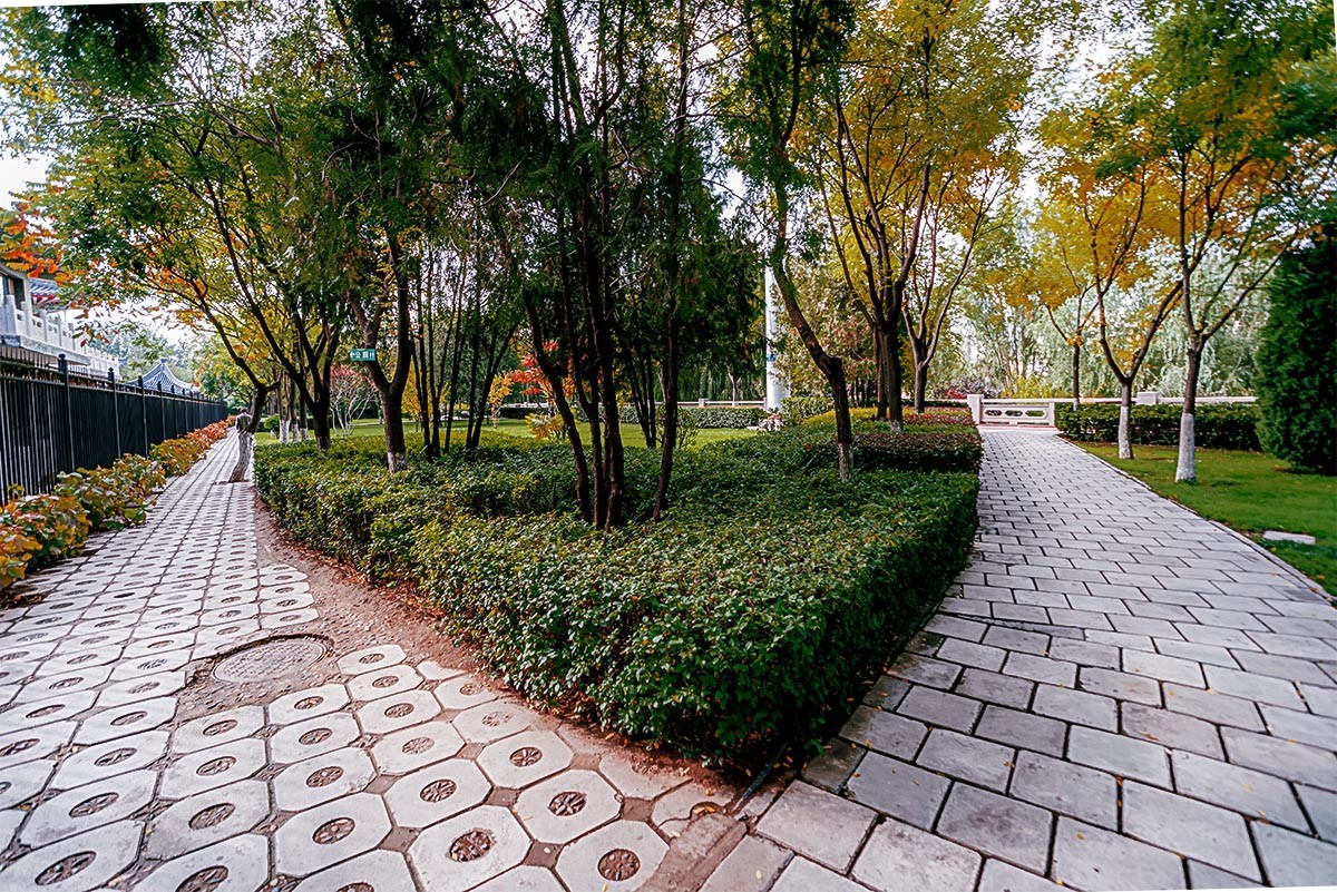 随                                        拍