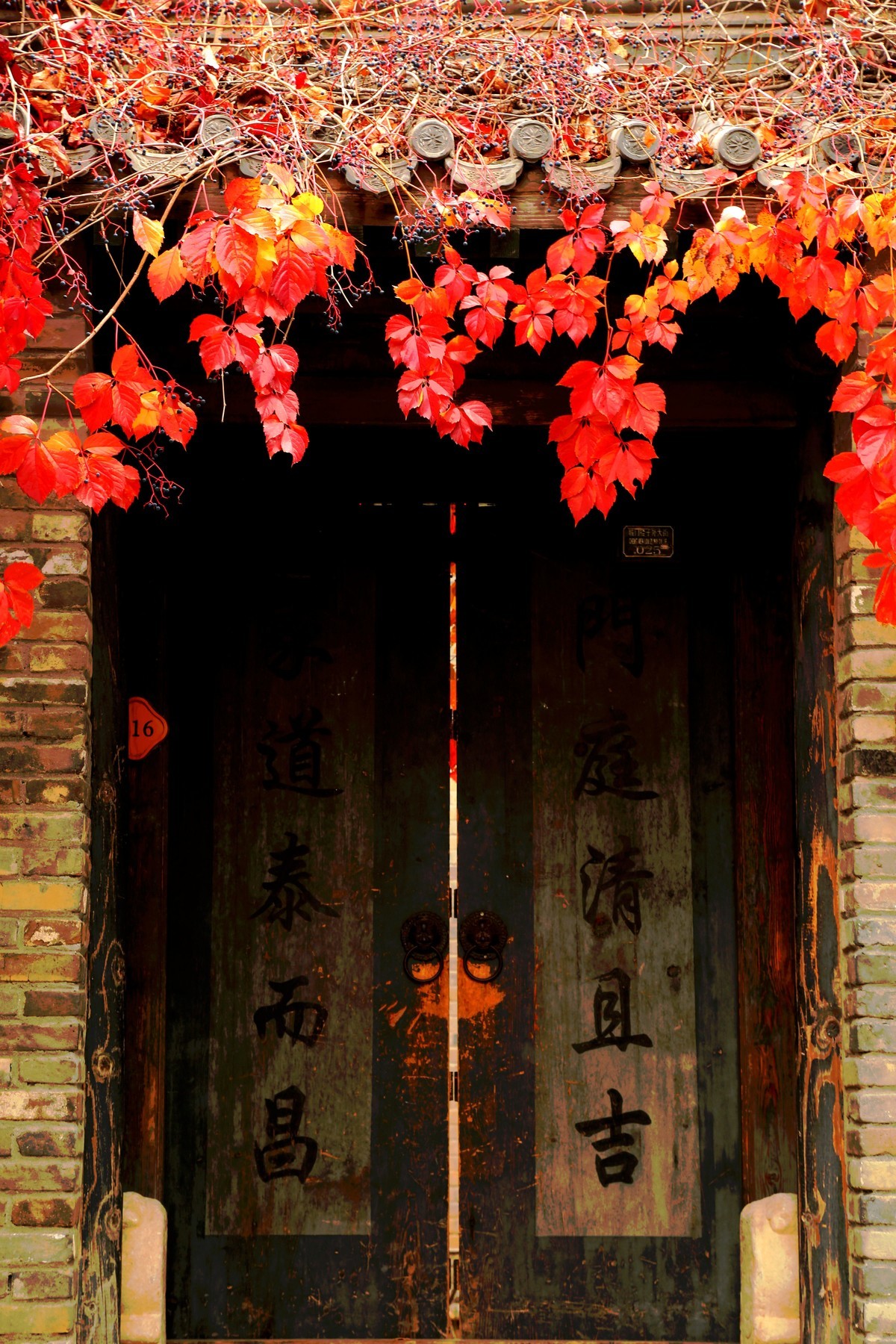 金秋古北口览秋