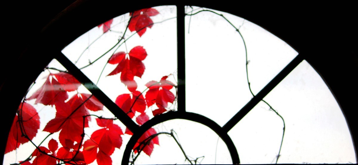 金秋古北口览秋