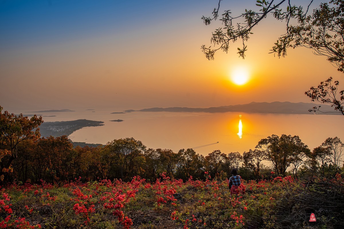 辞新迎旧，跨年特辑