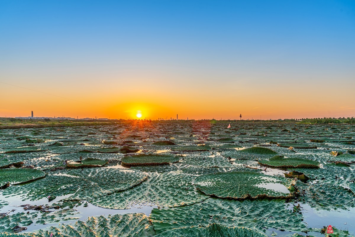 辞新迎旧，跨年特辑