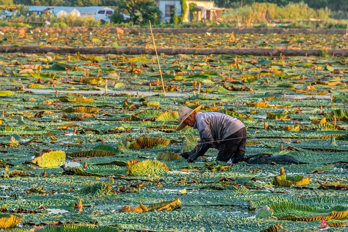 辞新迎旧，跨年特辑