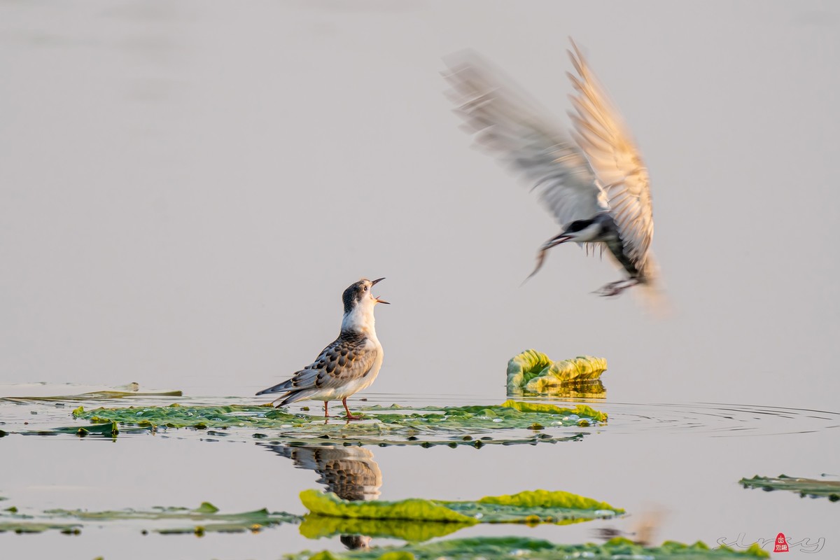 辞新迎旧，跨年特辑