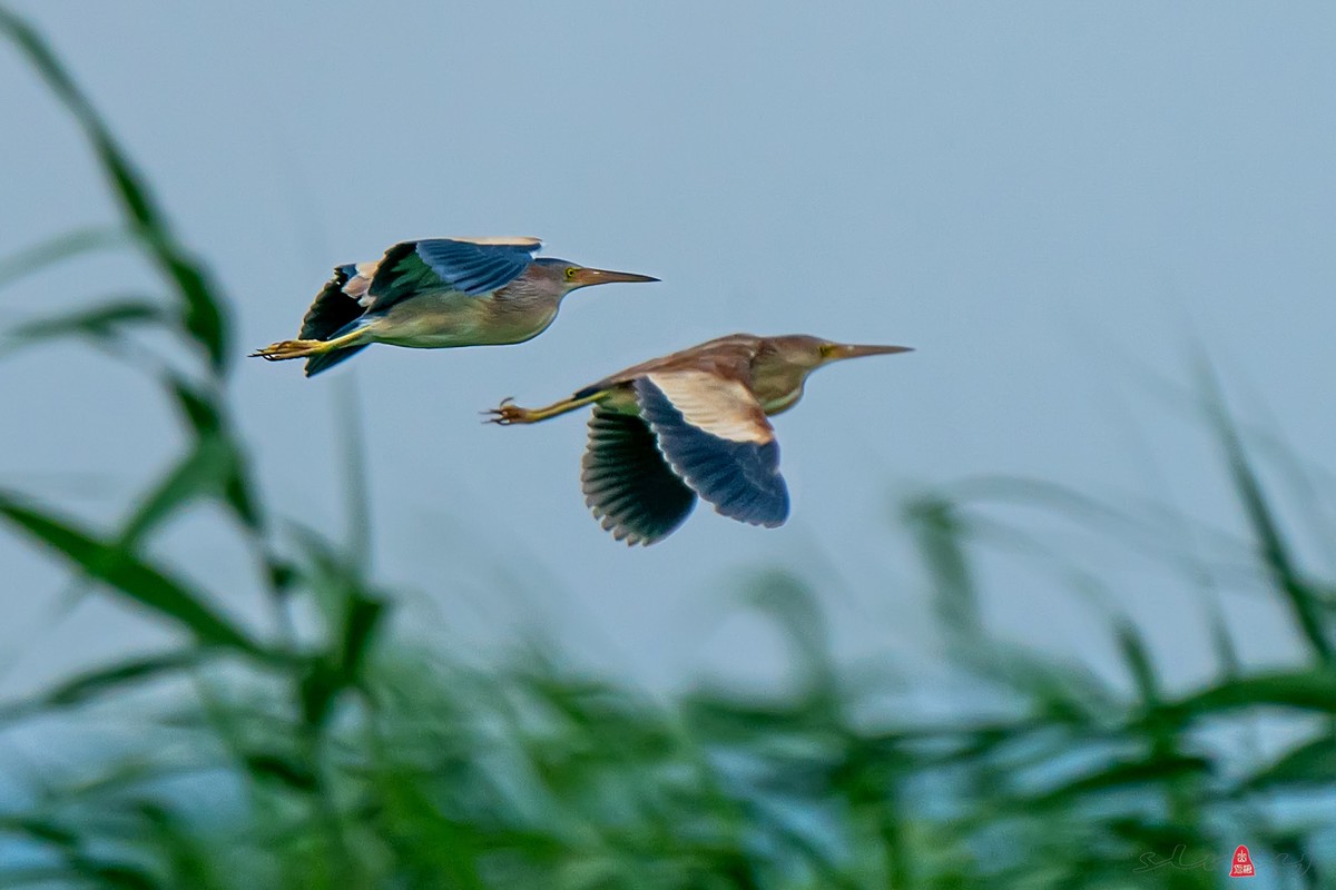 辞新迎旧，跨年特辑