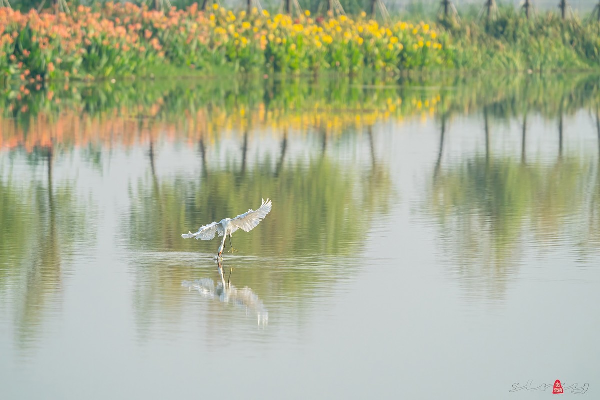 辞新迎旧，跨年特辑