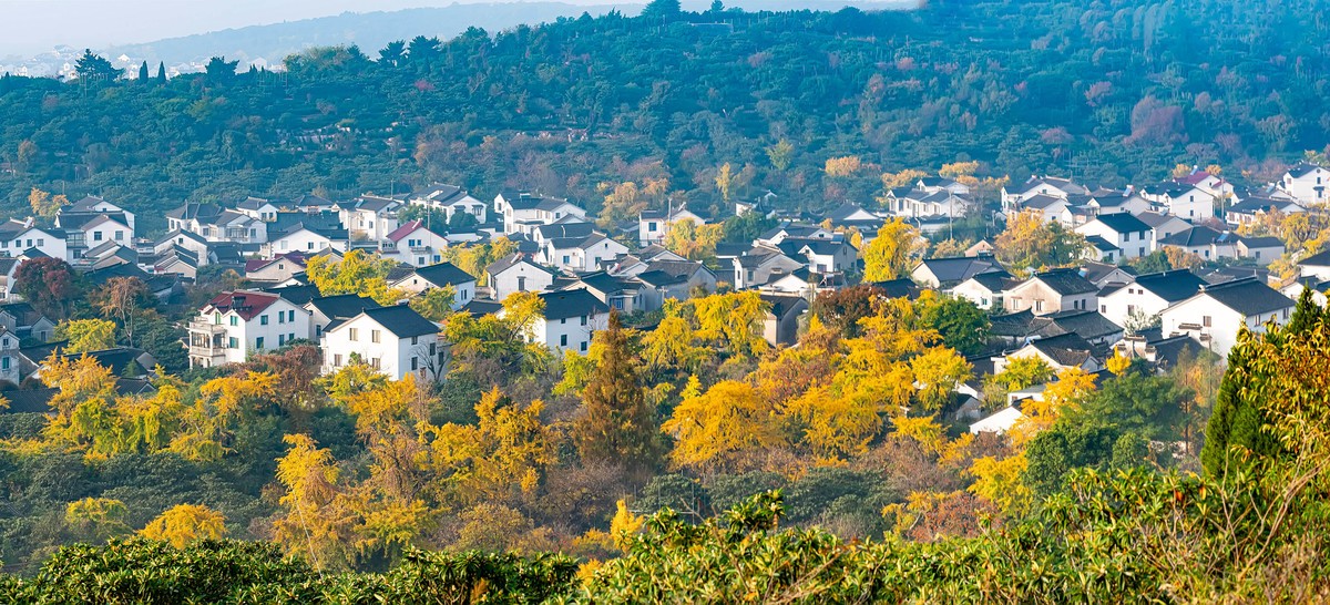 辞新迎旧，跨年特辑