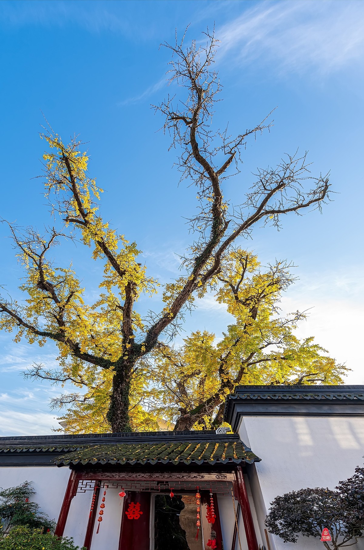 辞新迎旧，跨年特辑