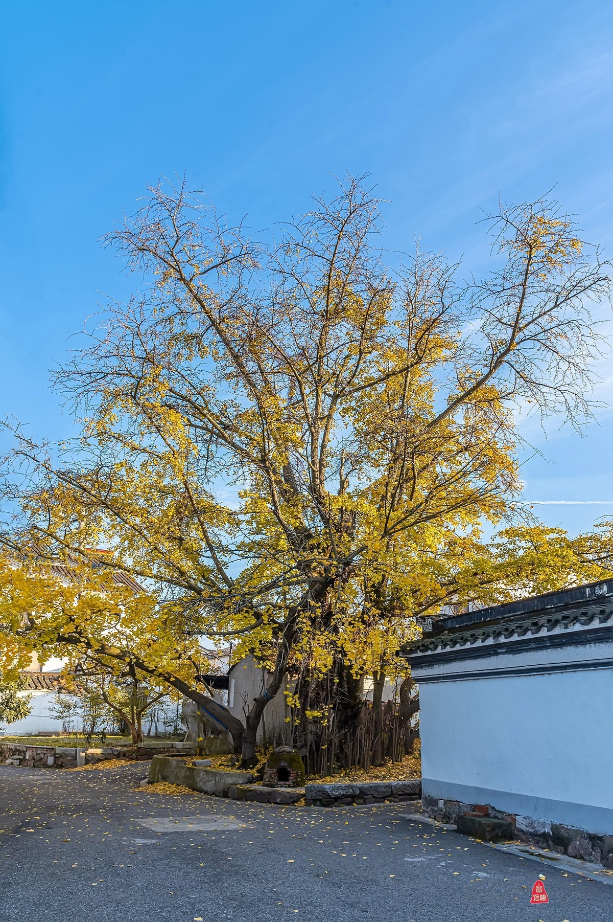 辞新迎旧，跨年特辑