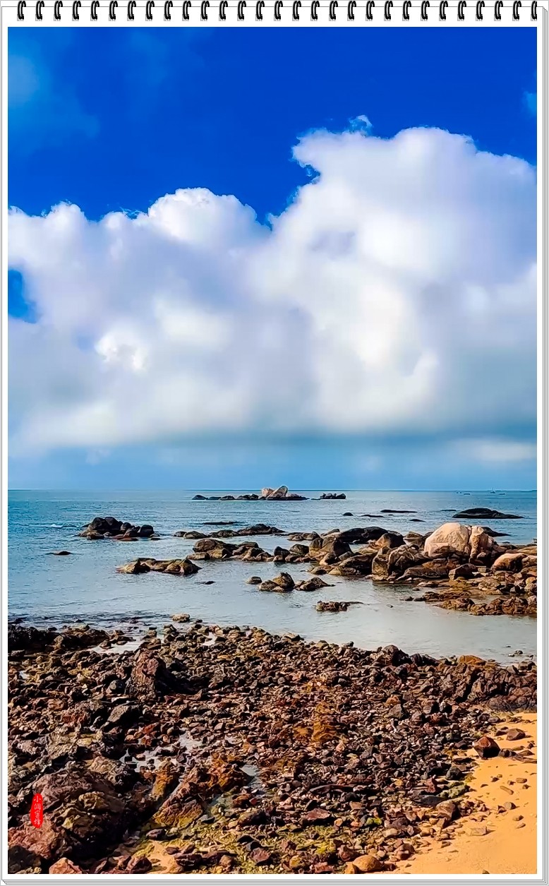 2022年海南岛抓拍-73