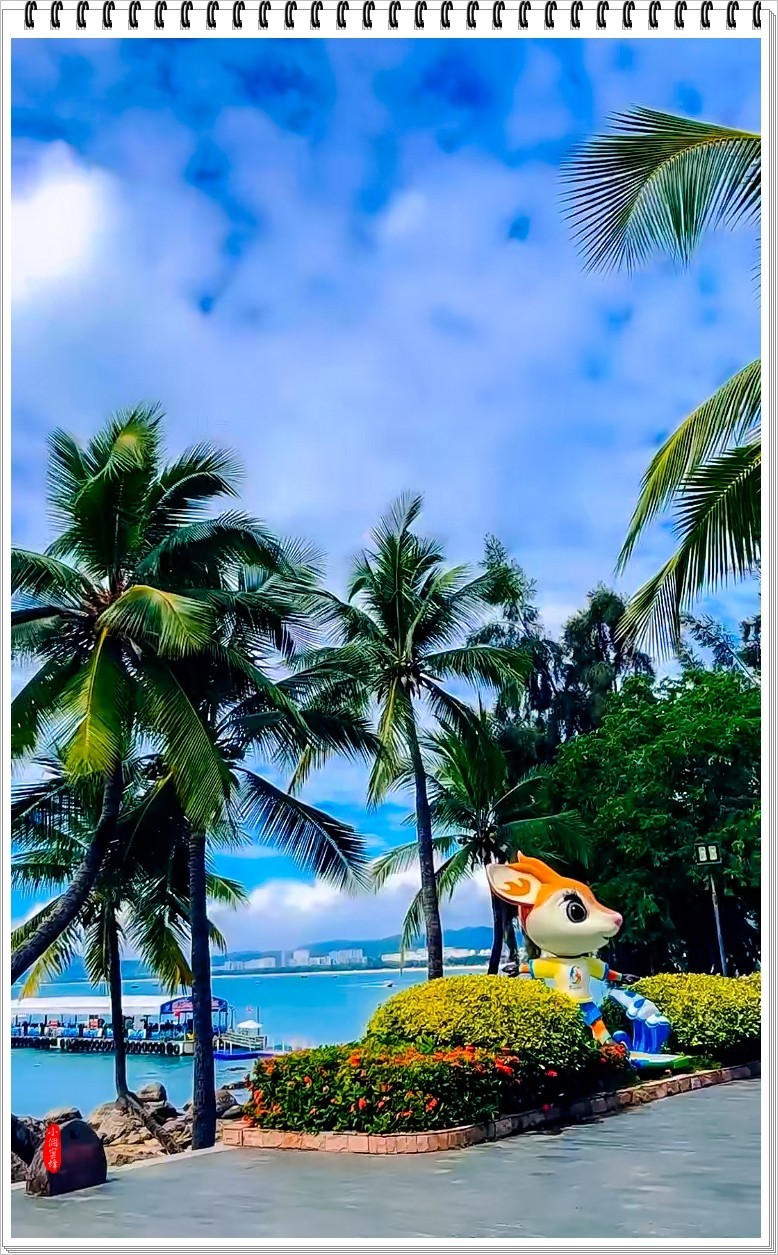 2022年海南岛抓拍-73