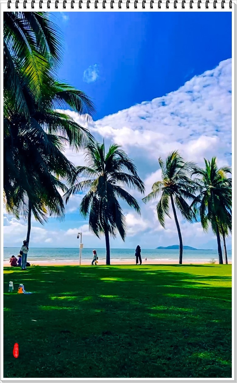 2022年海南岛抓拍-73