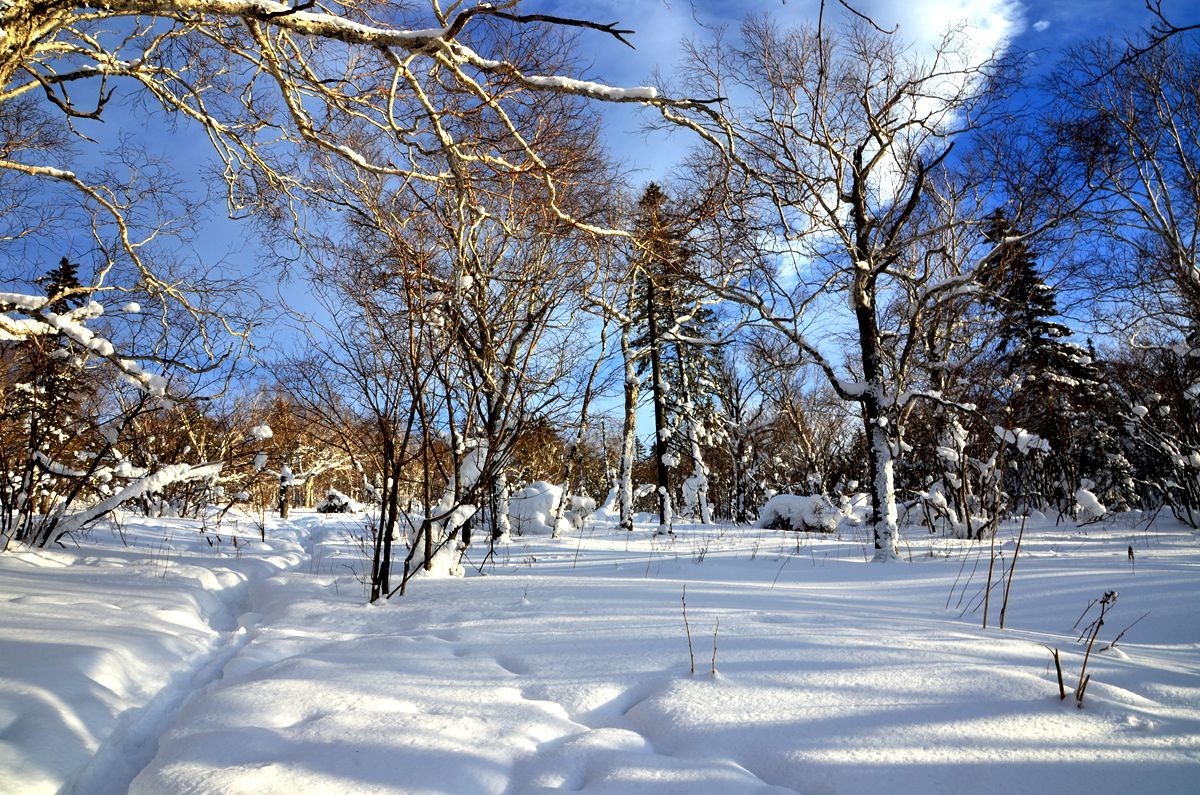 亚布力——二浪河雪乡游拍（6）