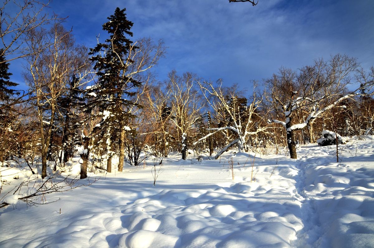 亚布力——二浪河雪乡游拍（6）