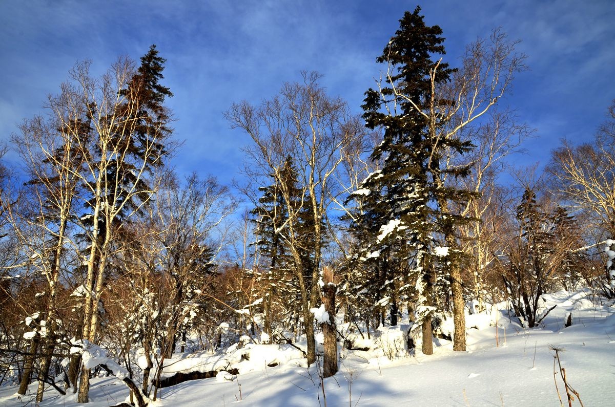 亚布力——二浪河雪乡游拍（6）
