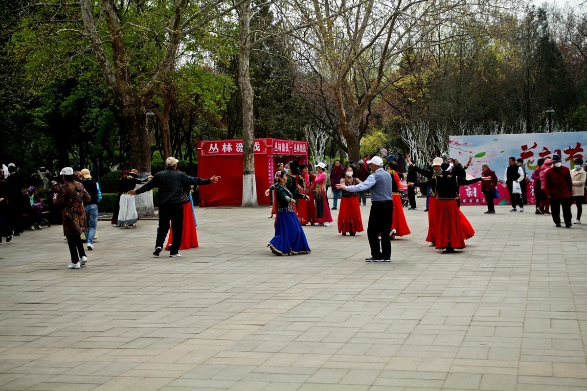 在那桃花盛开的地方（二）
