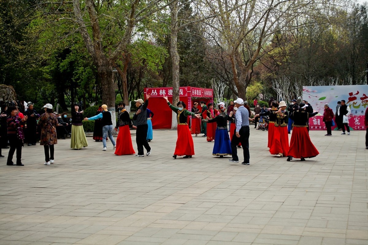 在那桃花盛开的地方（二）
