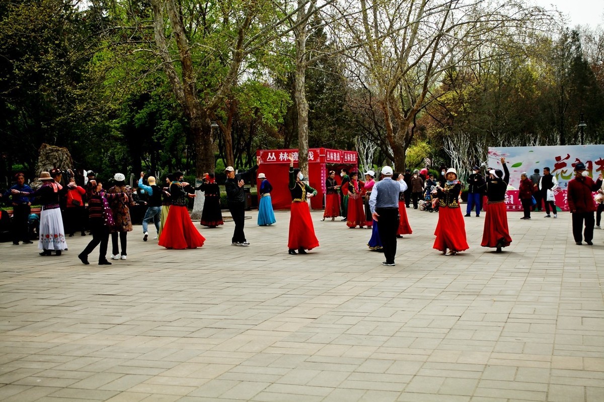 在那桃花盛开的地方（二）