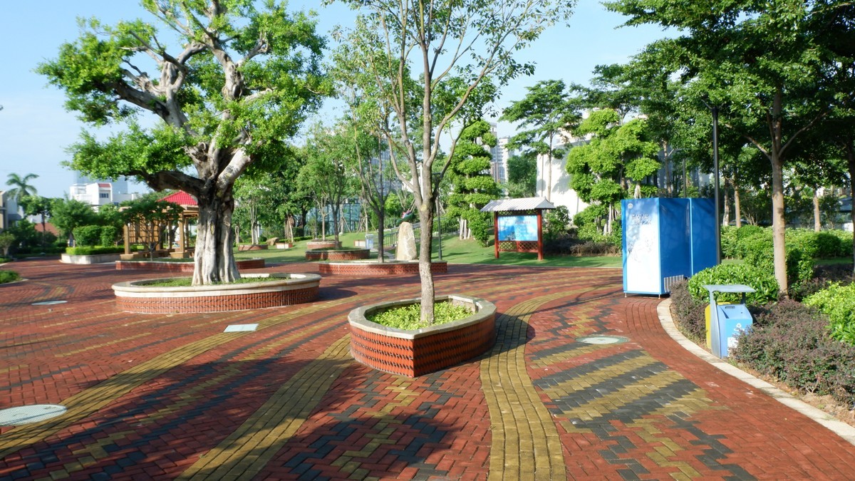 杏林湾曙光曲--27