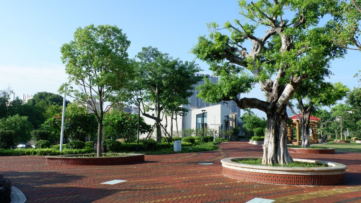 杏林湾曙光曲--27