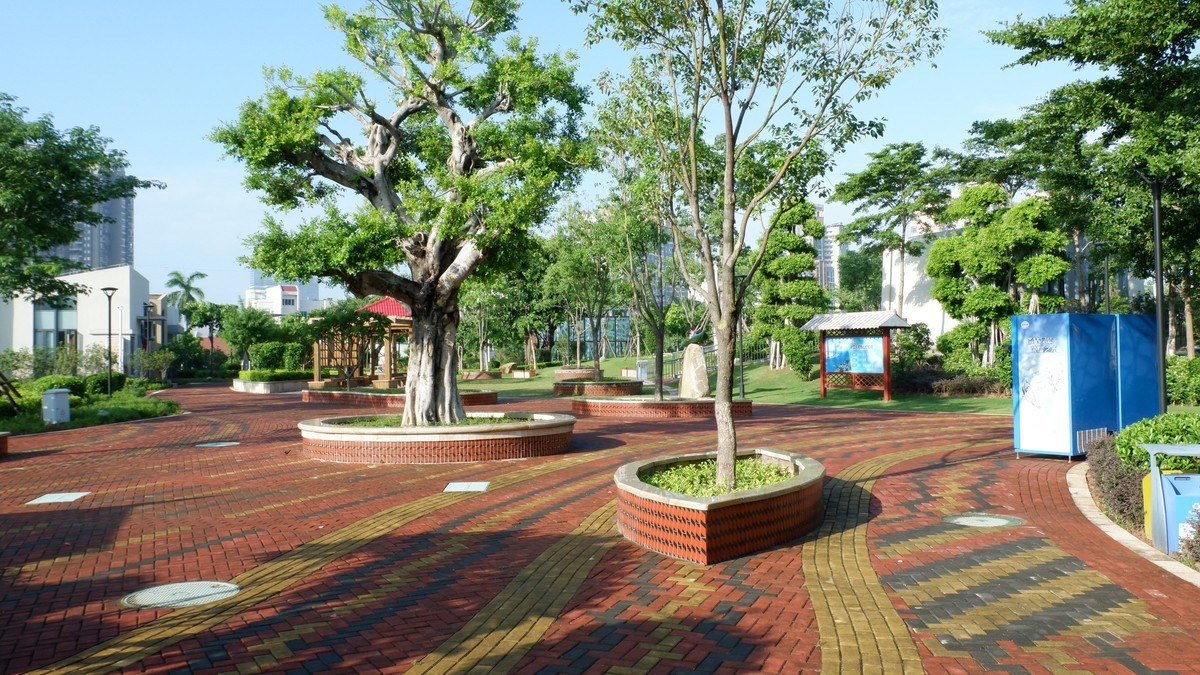 杏林湾曙光曲--27