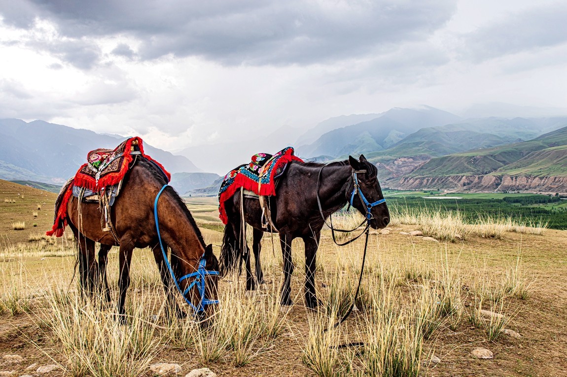 新疆行游--琼库什台返回特克斯县途中【5】