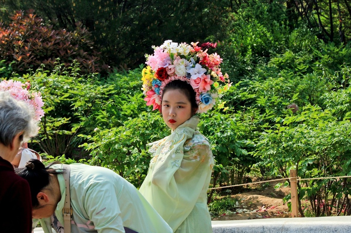 公园抓拍——国风●古筝