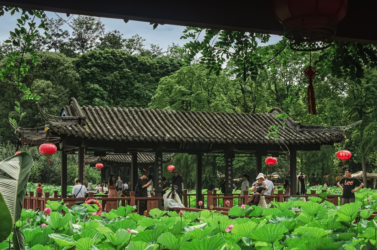 郫都 · 望丛祠 《荷花辞》 (清 钱谦益)-中关村在线摄影论坛