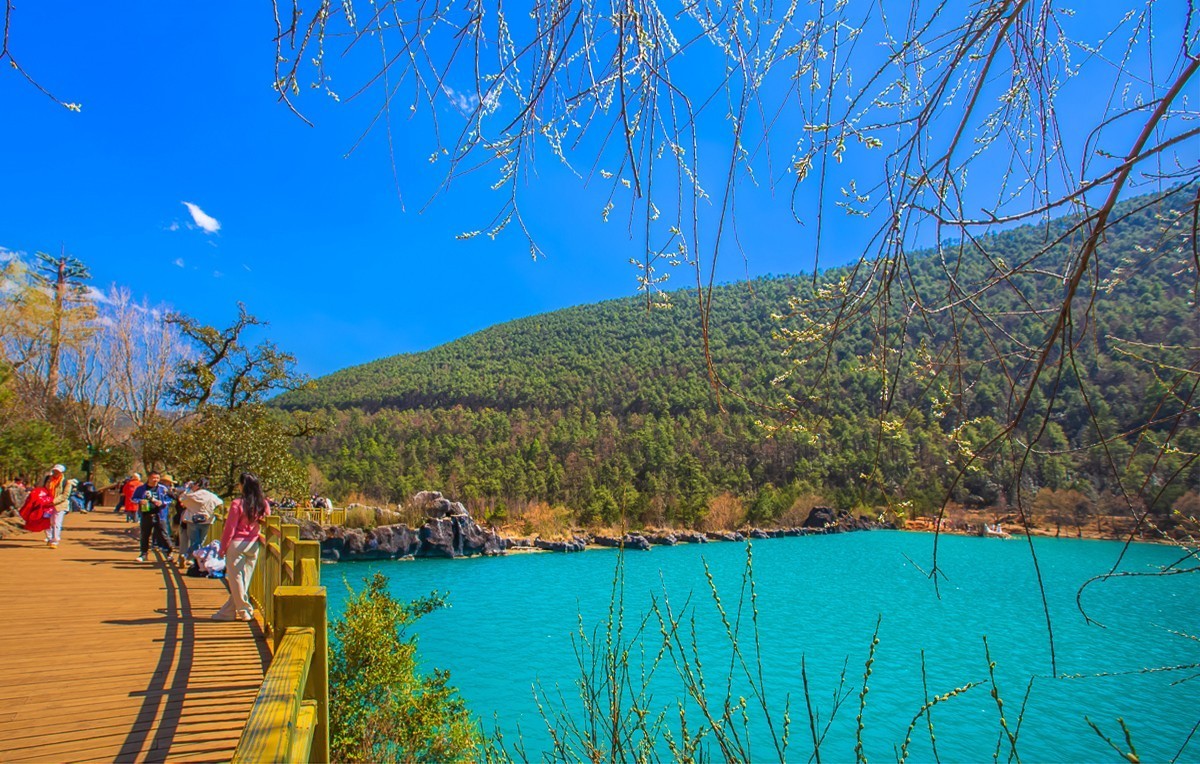 2024-09-19云南丽江蓝月谷（十七）