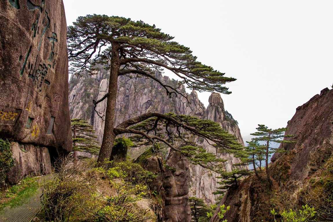 黄山--峰峦随镜入画来【14】