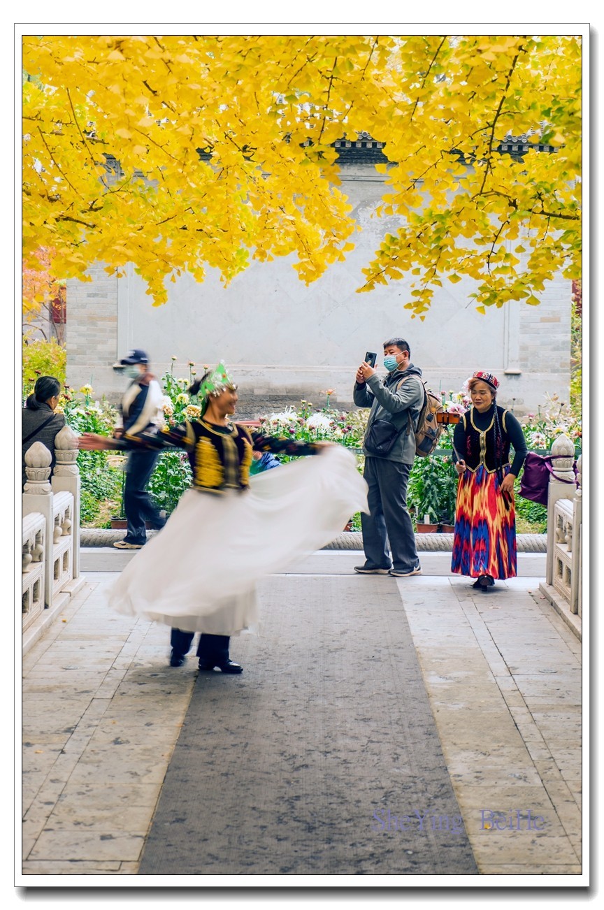 紫竹苑行宫的秋叶-续