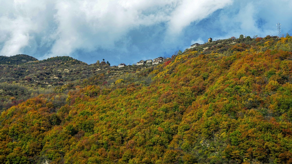 金秋川西行摄【6】