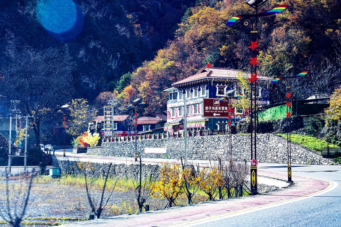 金秋川西行摄【6】