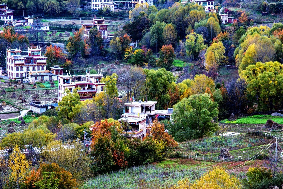 #遇见最美秋叶#川西--丹巴--藏区秋色【7】