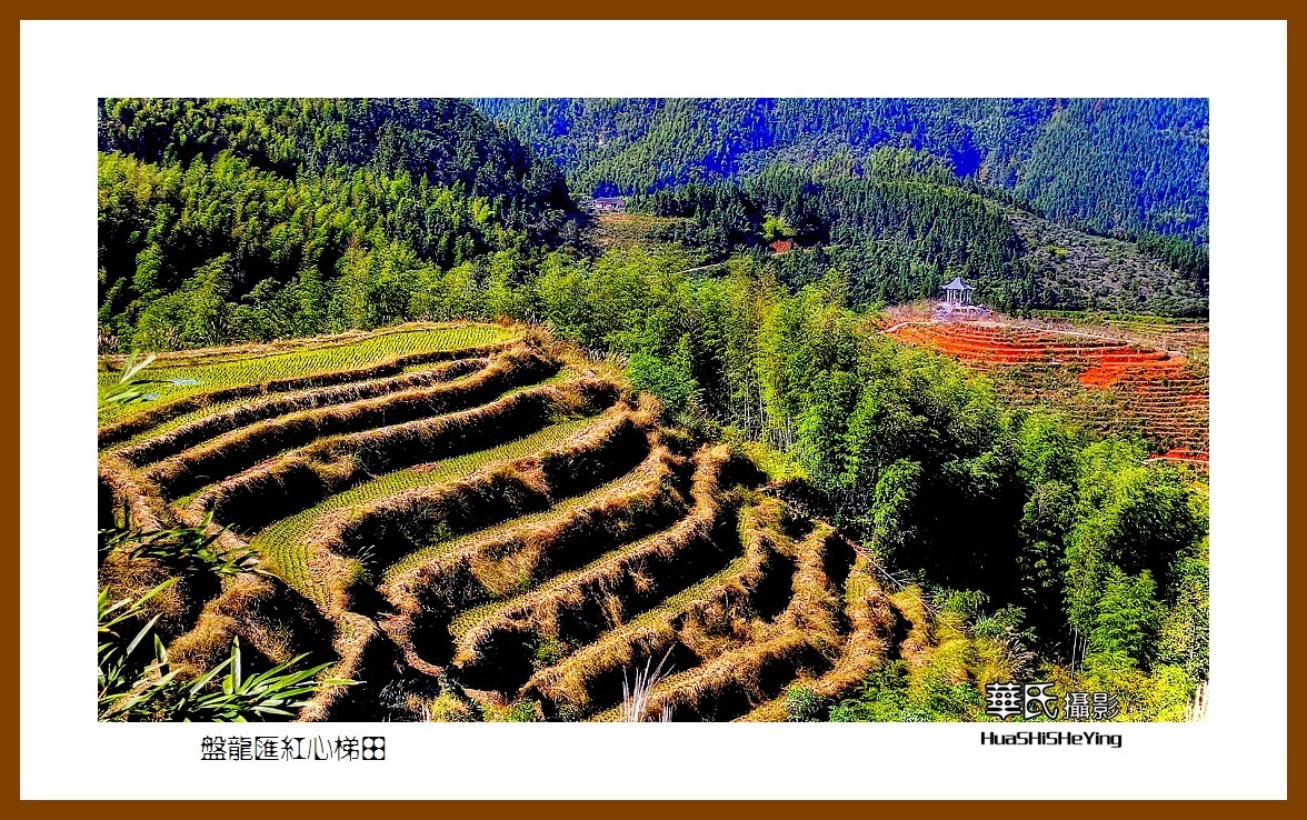 遂川桃源梯田门票图片