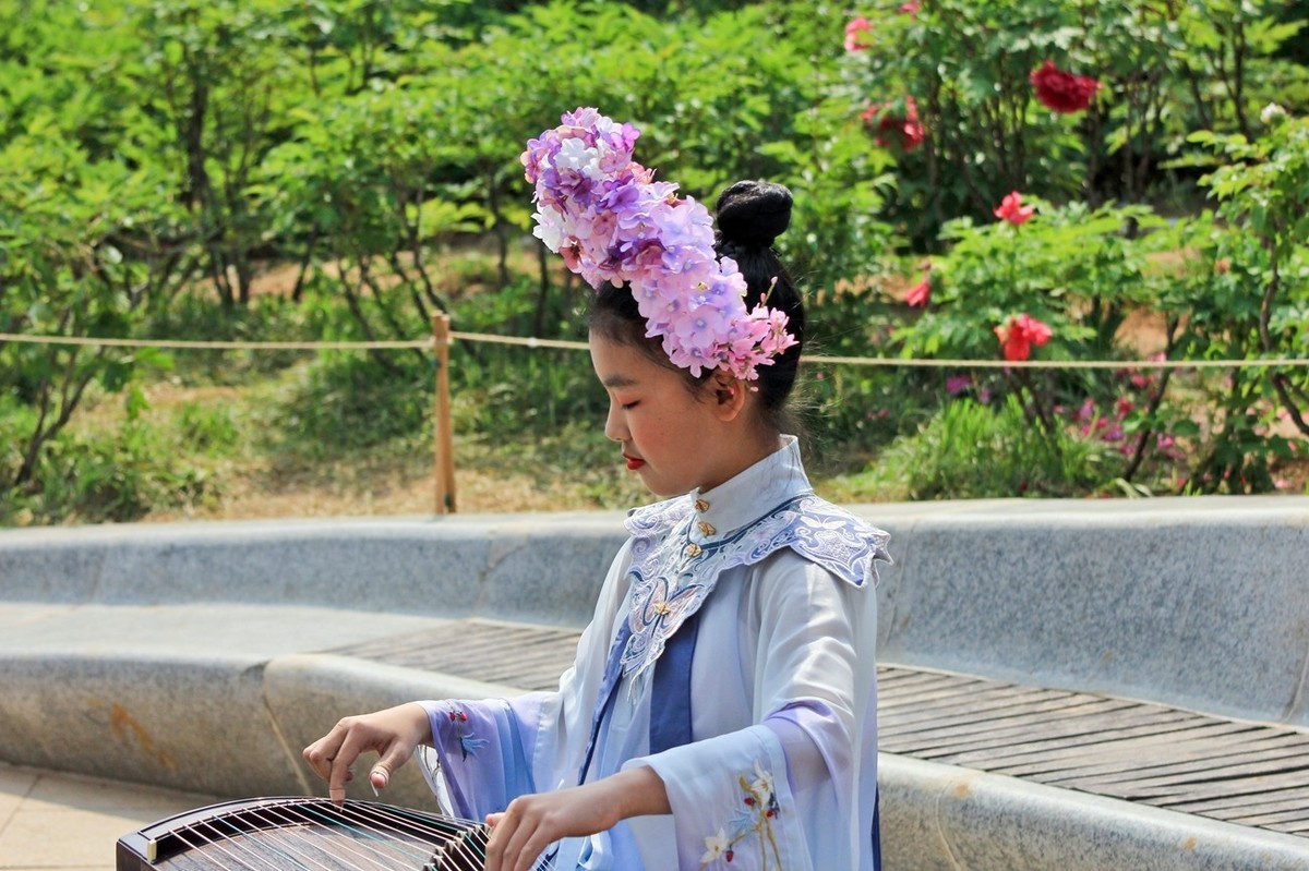 公园抓拍——国风●古筝