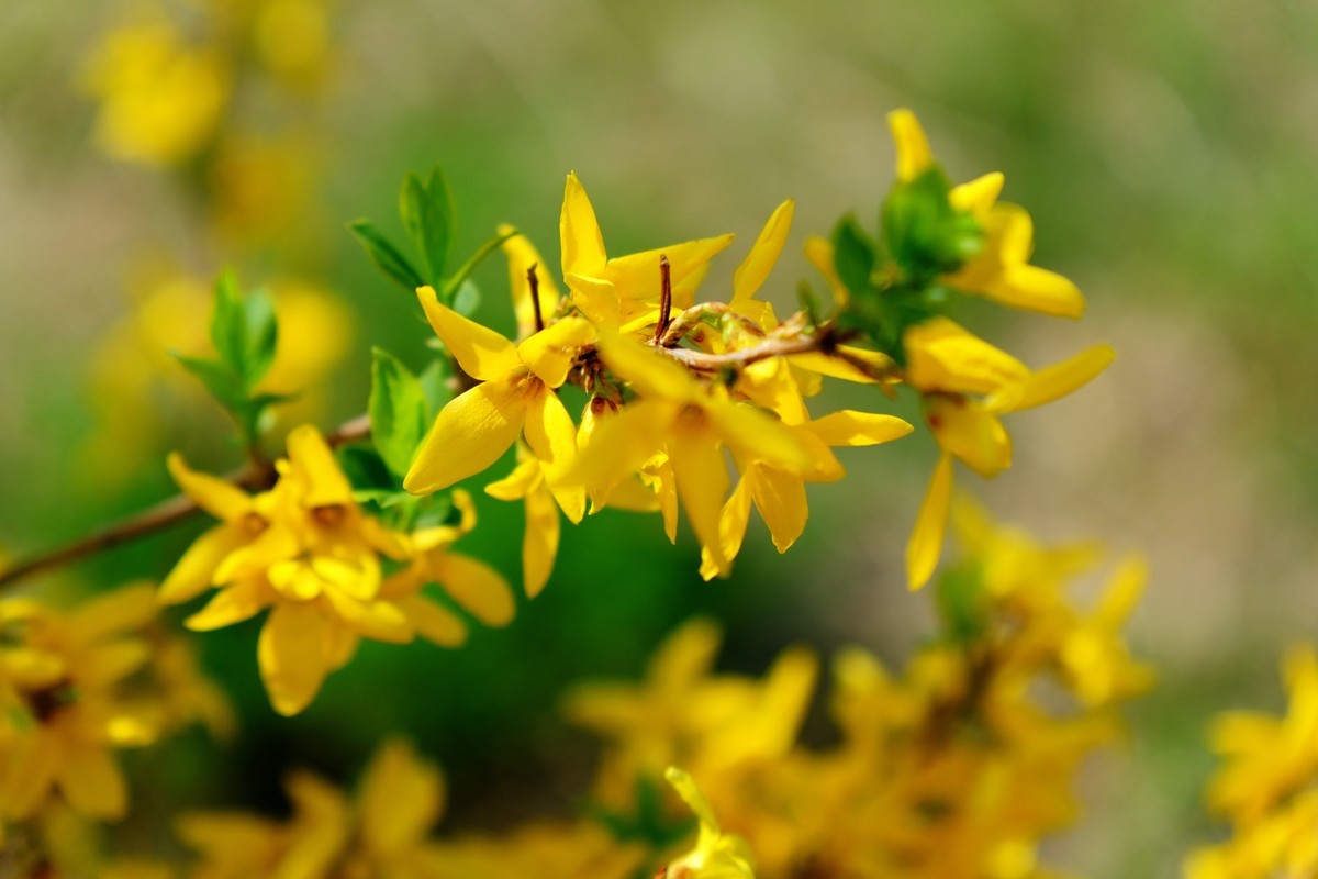 骑行路边随手拍