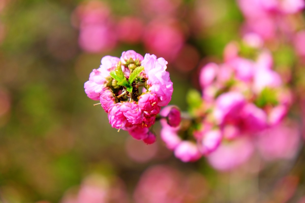 骑行路边随手拍