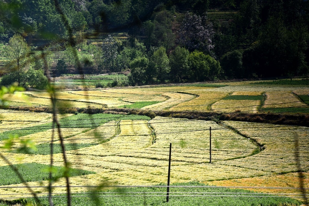 双廊古镇至丽江路途随拍