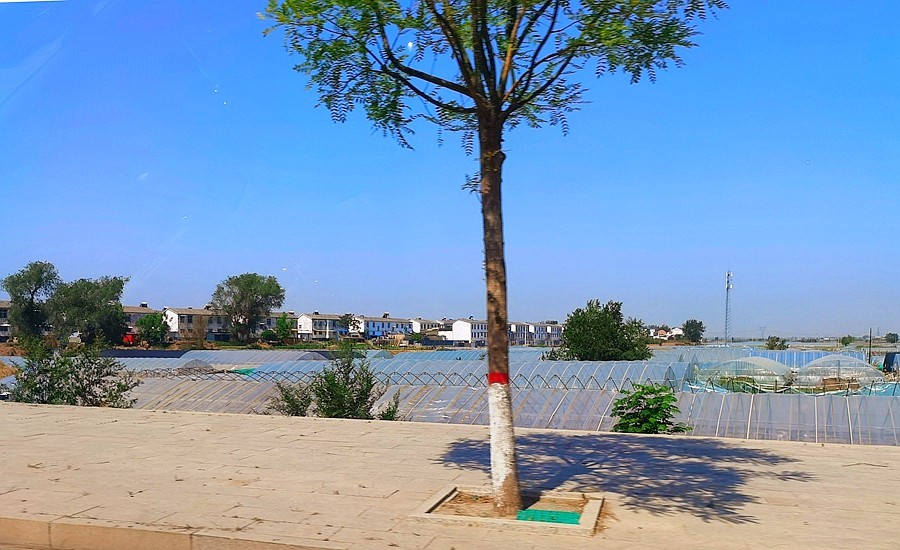 《不老松：纪实摄影》【大好河山系列报導】邯郸游摄！廣府古城 (16)离开古城打道囬府