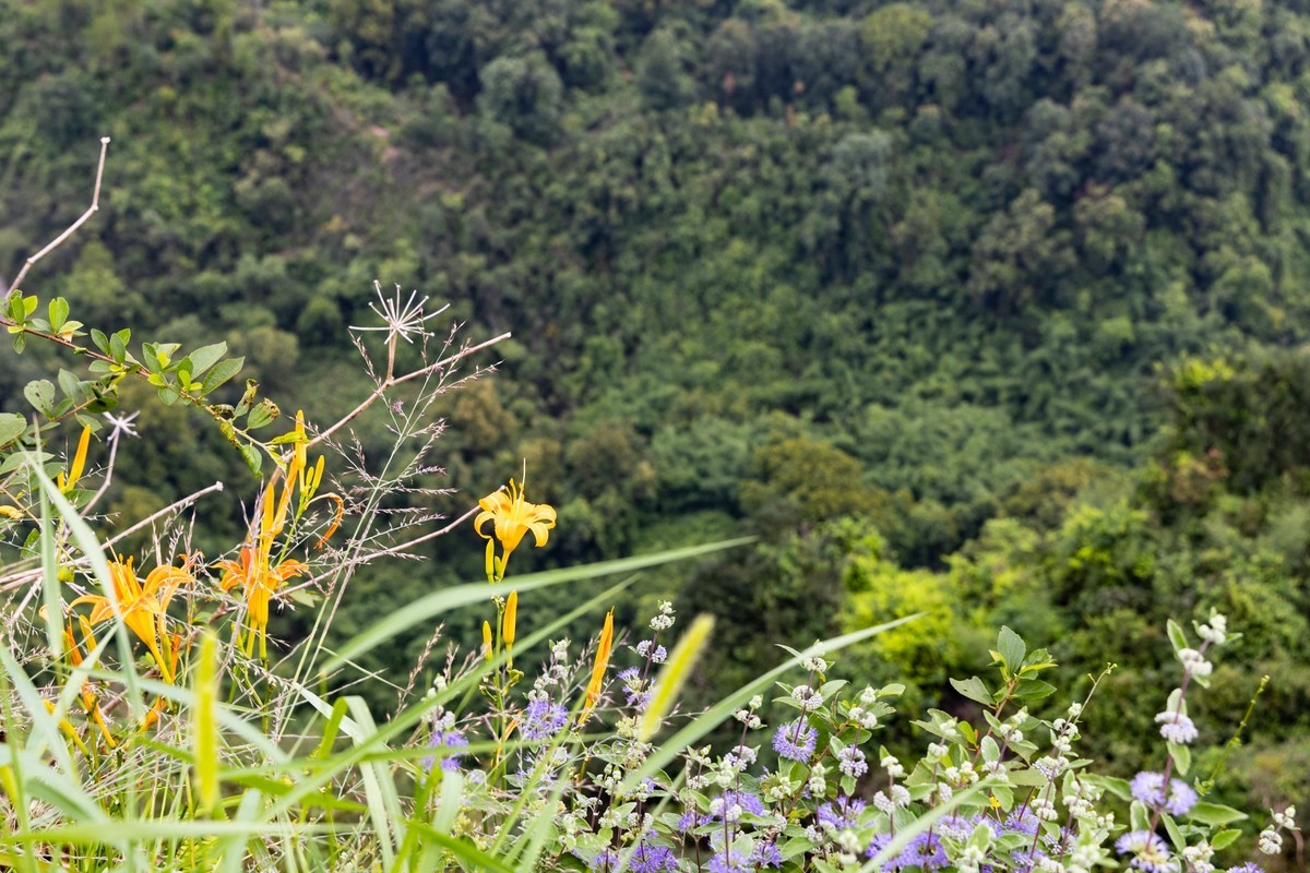韶关——丹霞山（2）