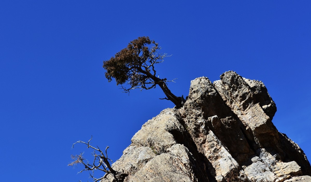周末去爬贺兰山（上）