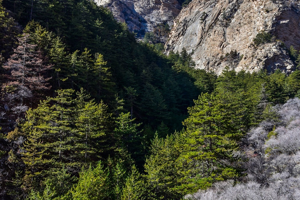周末去爬贺兰山（上）